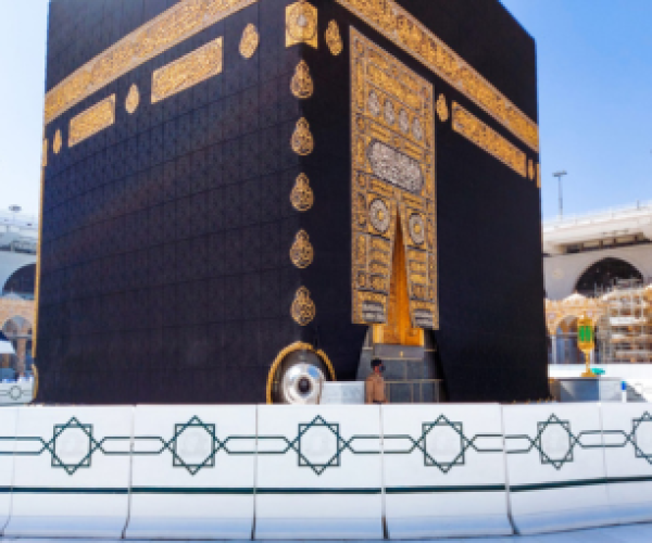 Untitled design (31)